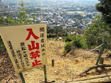 寅山|京都の寅年の山 虎ノ背山（虎山、虎の背山） 干支の山